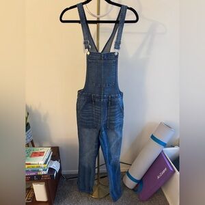 Madewell Skinny Overalls in Jansing Wash Size M